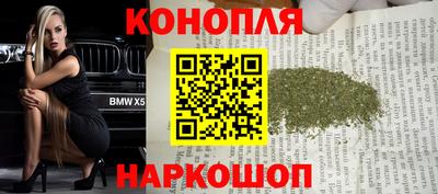 бошки Дубна